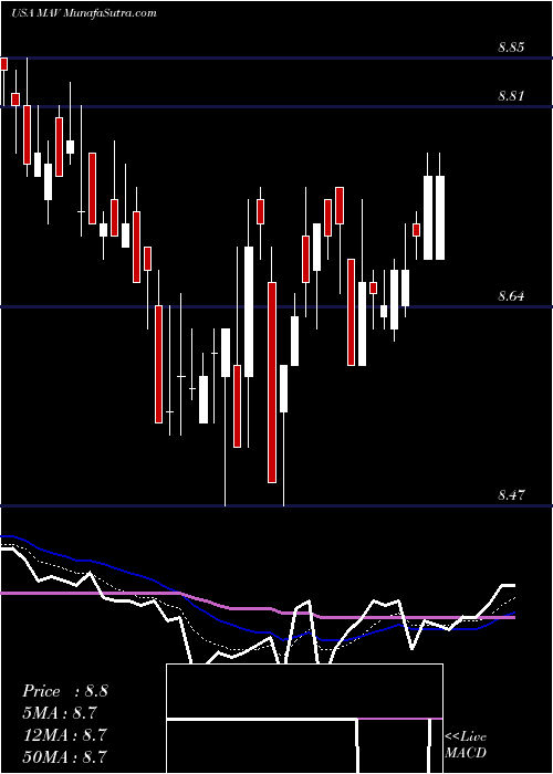  Daily chart PioneerMunicipal