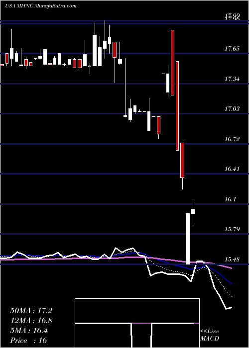  Daily chart MaidenHoldings