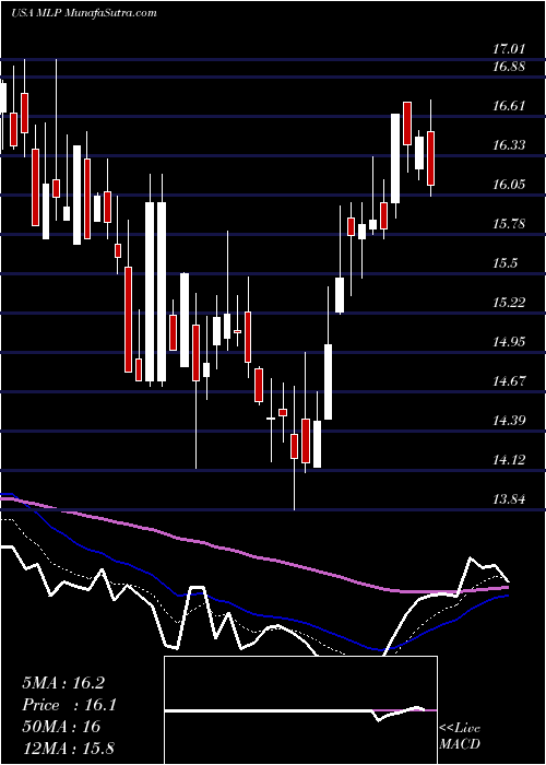  Daily chart Maui Land & Pineapple Company, Inc.