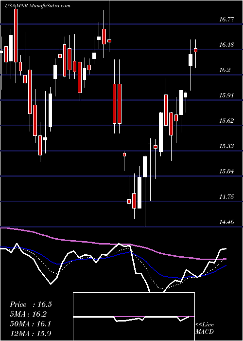  Daily chart MonmouthReal