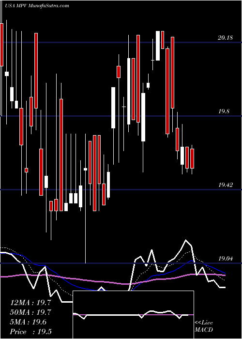  Daily chart BaringsParticipation