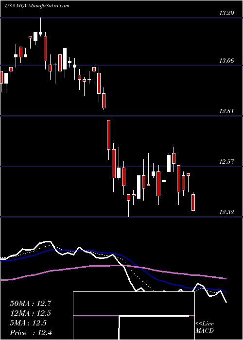  Daily chart BlackrockMuniyield