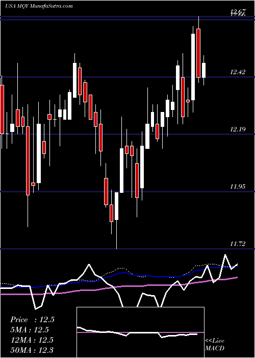  weekly chart BlackrockMuniyield