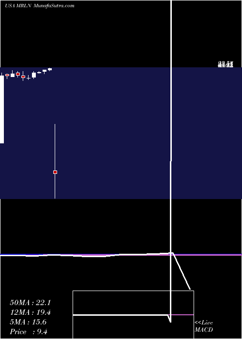  monthly chart MarlinBusiness