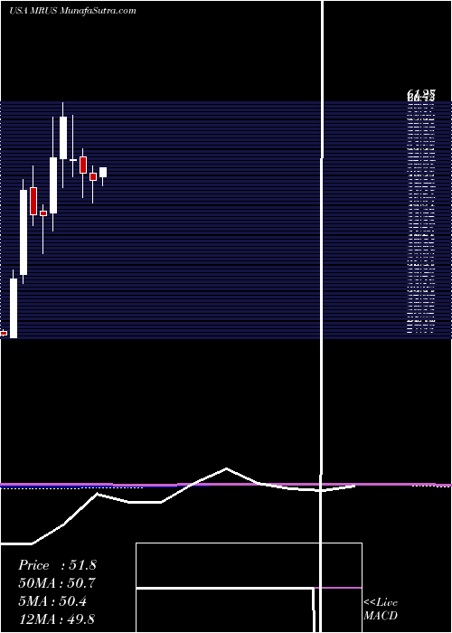  monthly chart MerusN