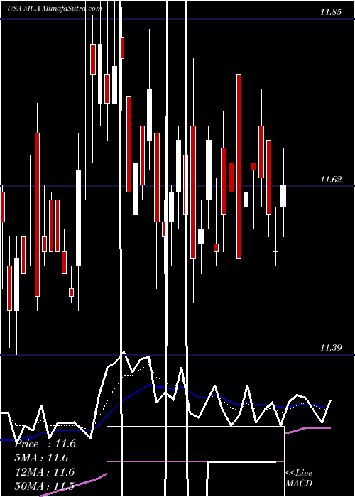  Daily chart BlackrockMuniassets