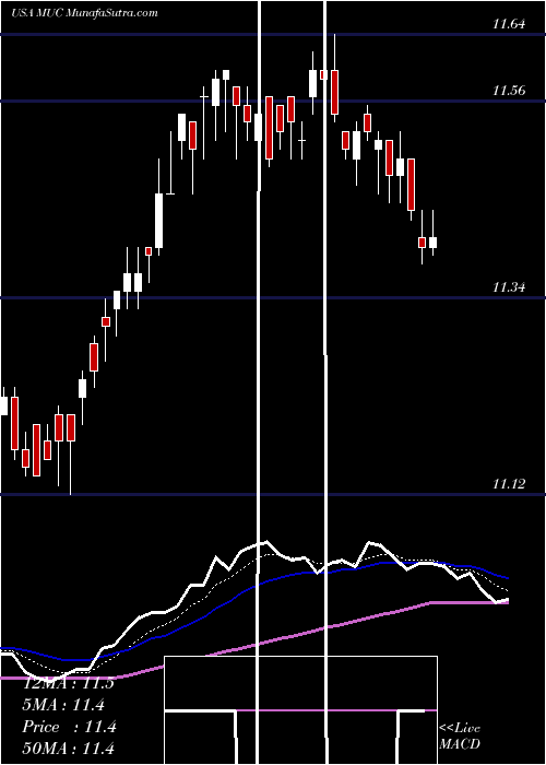  Daily chart BlackrockMuniholdings