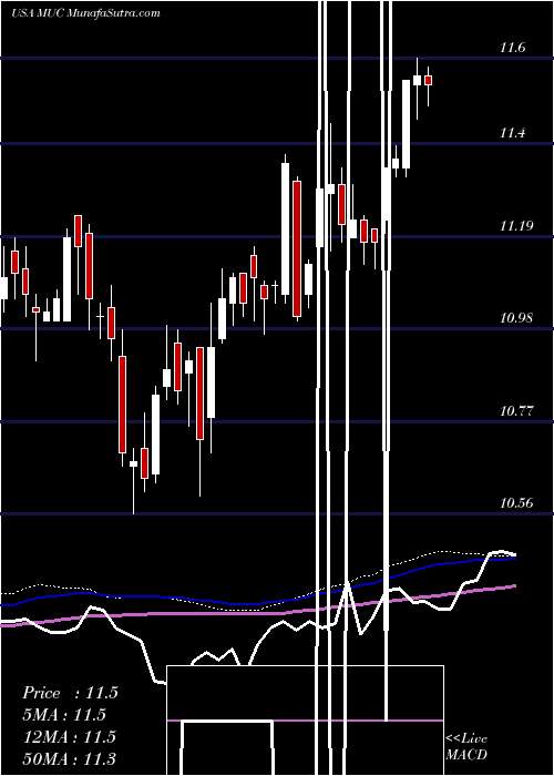  weekly chart BlackrockMuniholdings