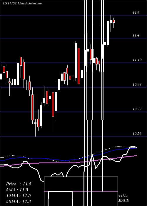  weekly chart BlackrockMuniholdings