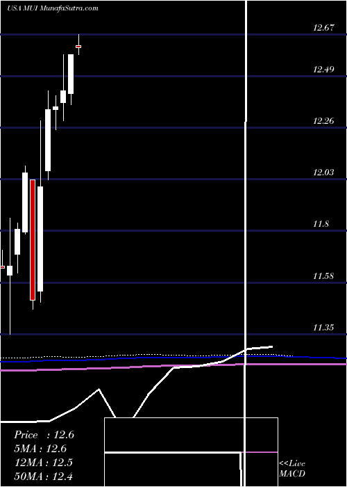  monthly chart BlackrockMuni