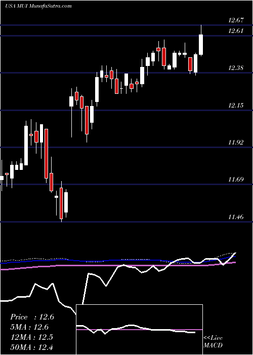  weekly chart BlackrockMuni