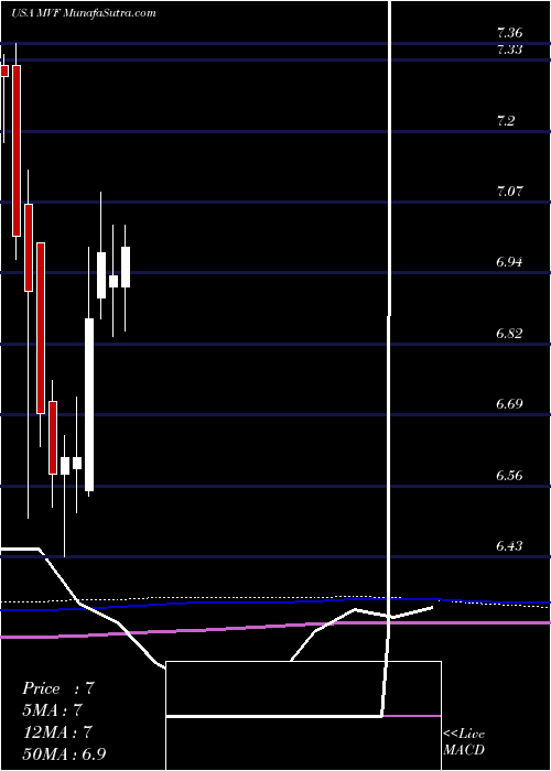  monthly chart MunivestFund