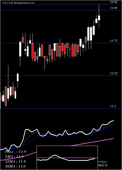  Daily chart NuveenArizona