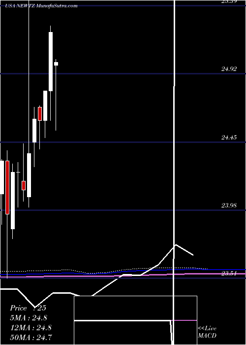  monthly chart NewtekBusiness