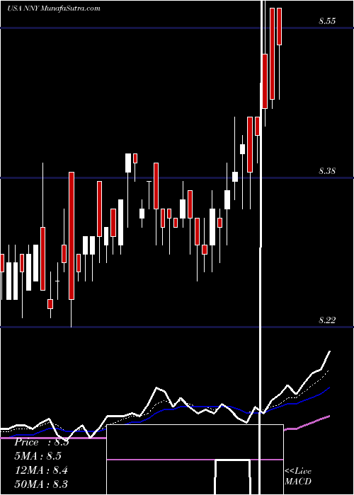  Daily chart Nuveen New York Municipal Value Fund, Inc.