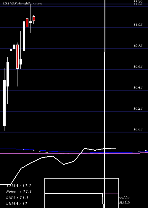  monthly chart NuveenNew