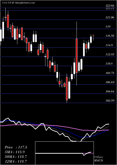  Daily chart NetappInc