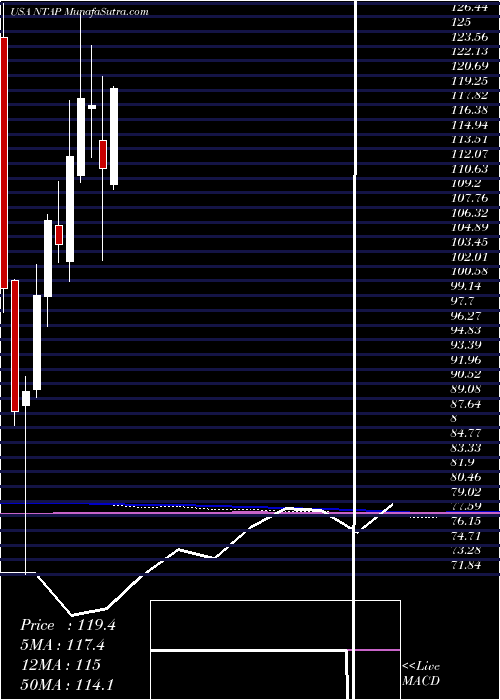  monthly chart NetappInc