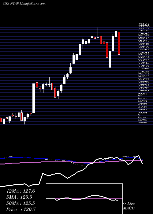  weekly chart NetappInc