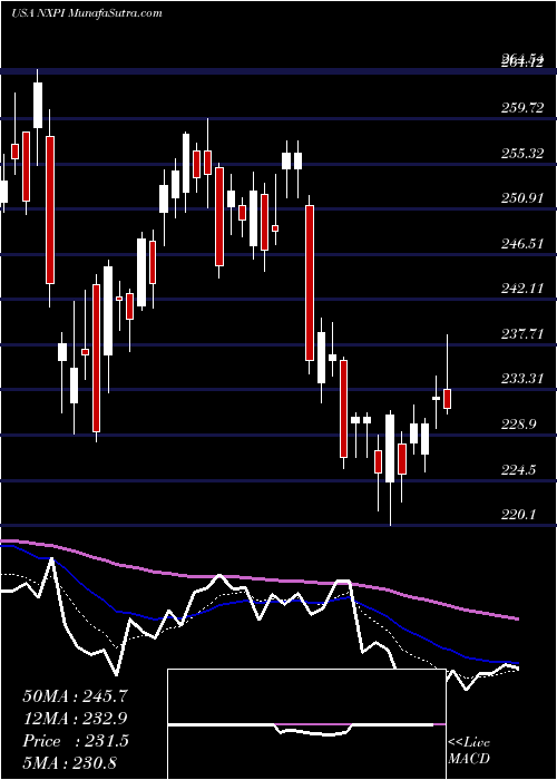  Daily chart NXP Semiconductors N.V.