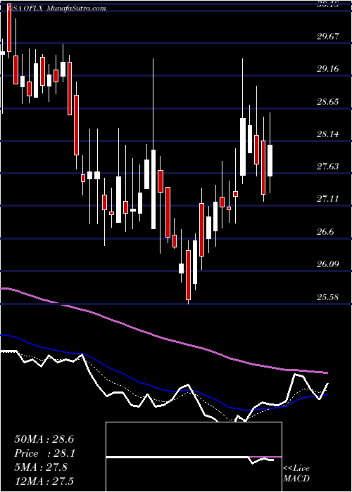  Daily chart OmegaFlex