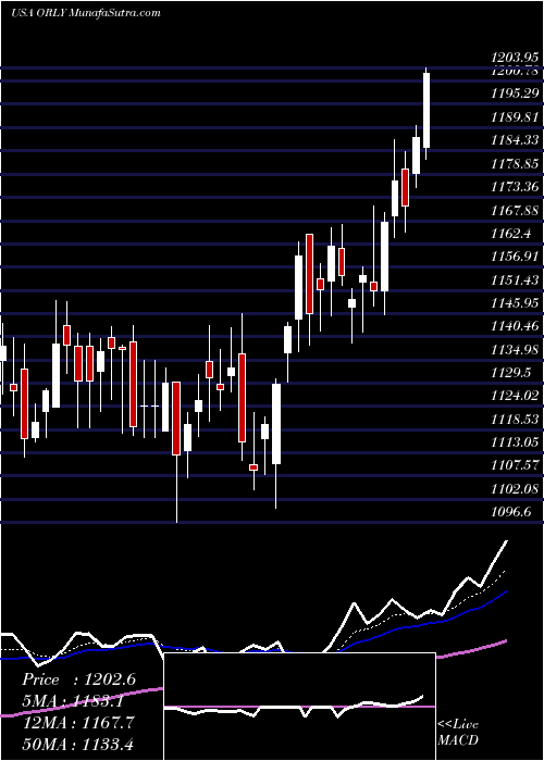  Daily chart OReilly