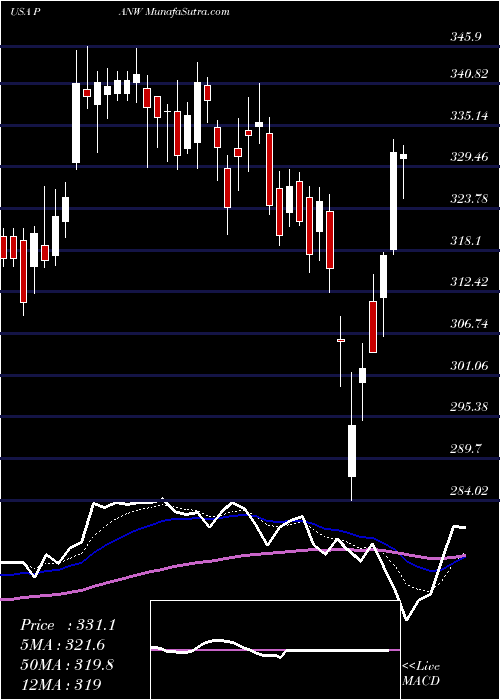  Daily chart PaloAlto