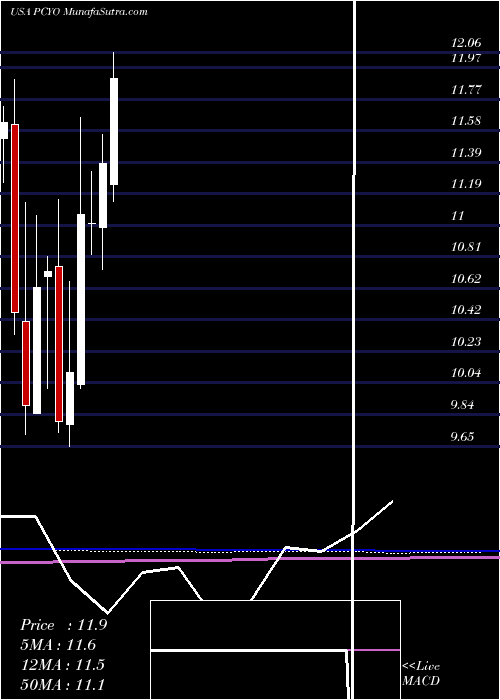  monthly chart PureCycle