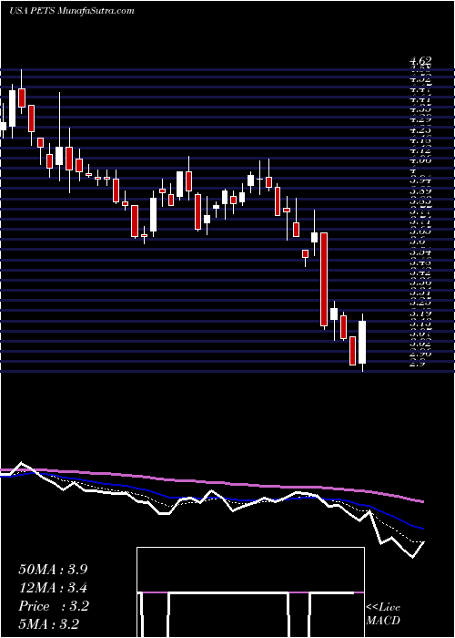  Daily chart PetmedExpress