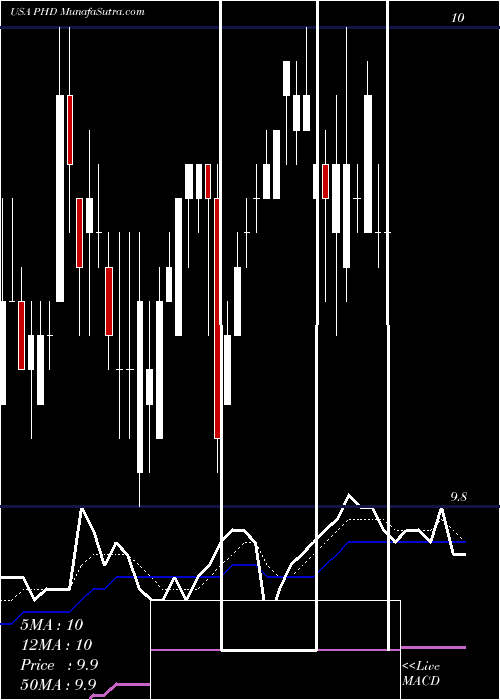  Daily chart PioneerFloating