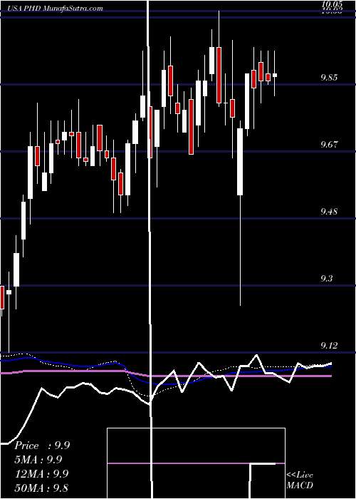  weekly chart PioneerFloating