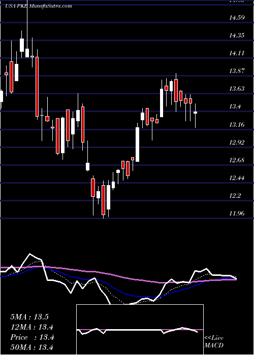  Daily chart ParkElectrochemical