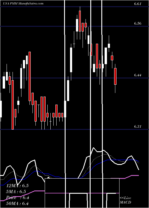  Daily chart PutnamManaged