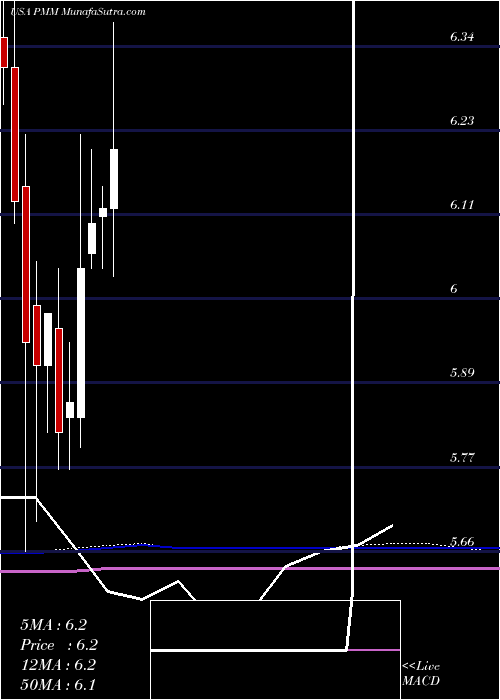  monthly chart PutnamManaged
