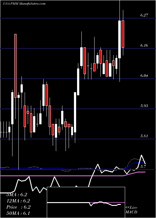  weekly chart PutnamManaged