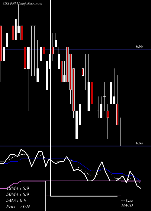  Daily chart PimcoNew
