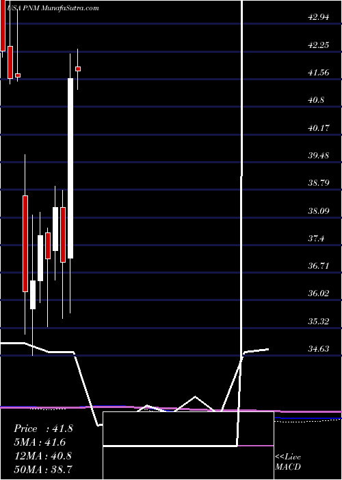  monthly chart PnmResources