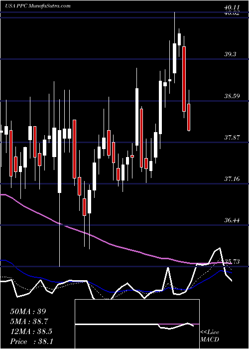  Daily chart PilgrimS