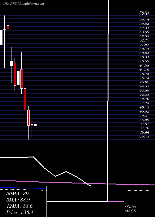  monthly chart PilgrimS