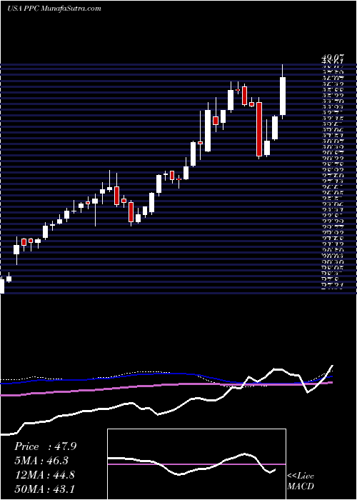  weekly chart PilgrimS