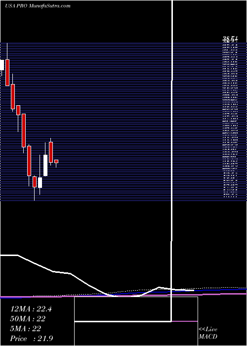  monthly chart ProsHoldings