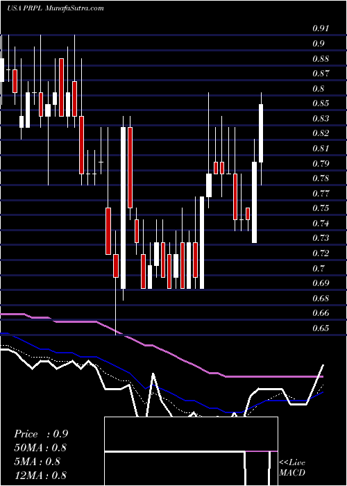  Daily chart PurpleInnovation