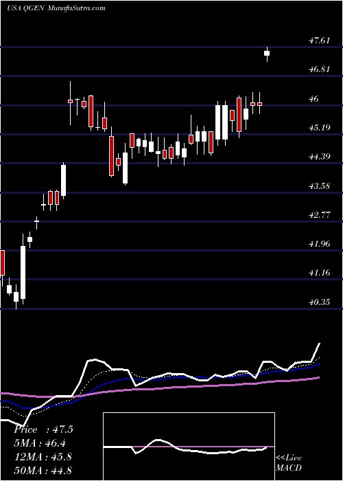  Daily chart Qiagen N.V.