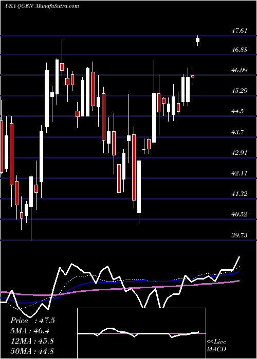  weekly chart QiagenN