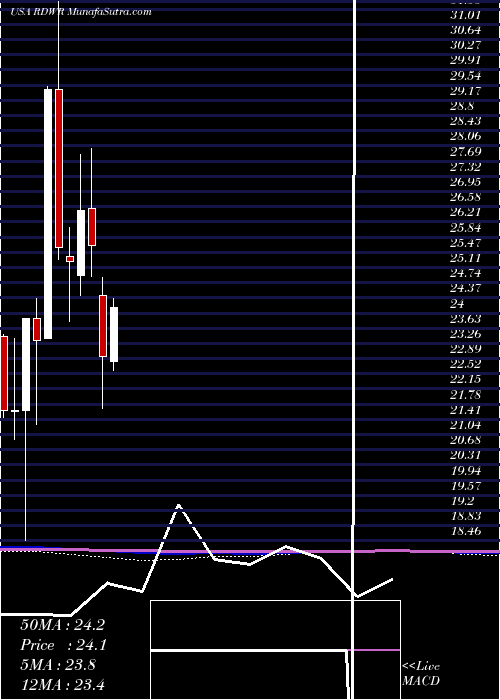  monthly chart Radware
