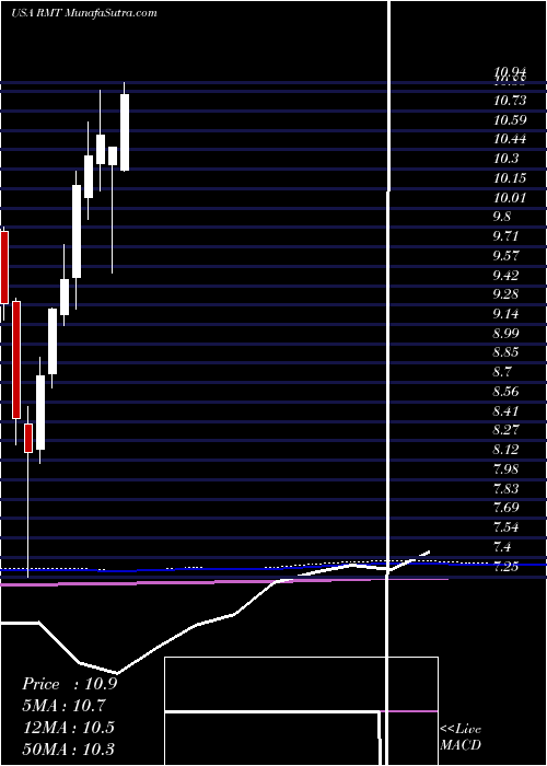  monthly chart RoyceMicro