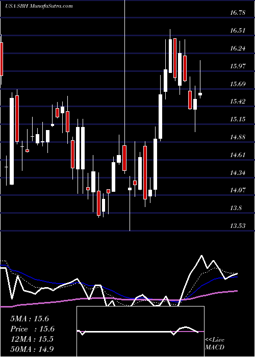  Daily chart SallyBeauty