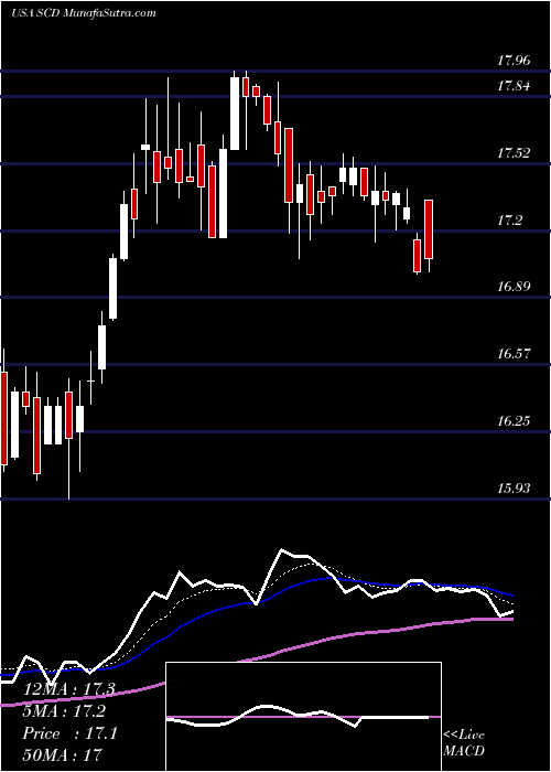  Daily chart LmpCapital