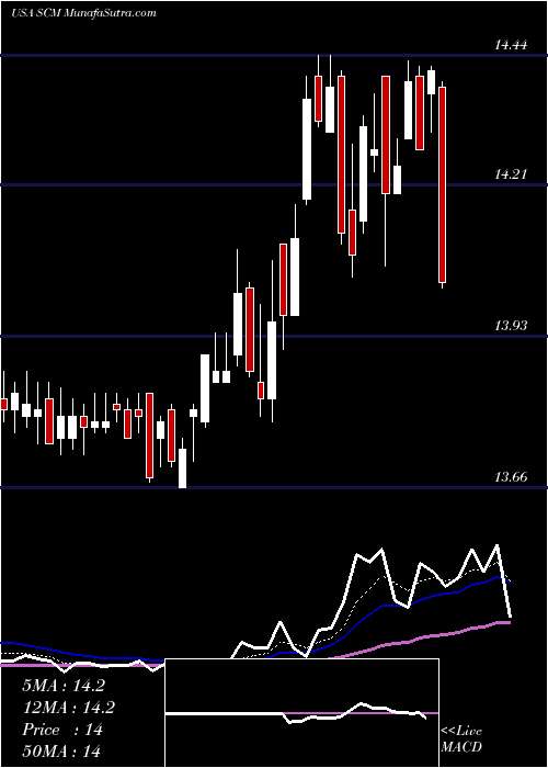  Daily chart StellusCapital