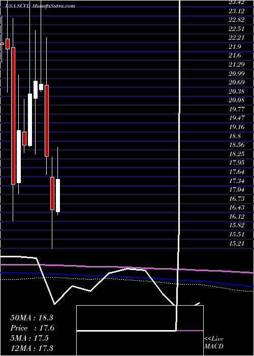  monthly chart ShoeCarnival